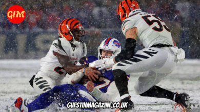 Bengals vs Buffalo Bills Match Player Stats
